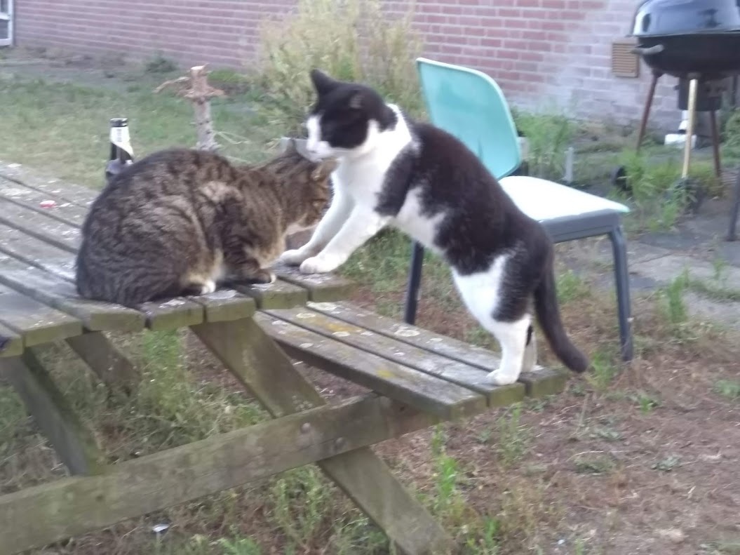 bart en prins